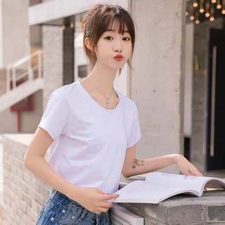[ 100% COTTON ] Áo Thun Cotton Nữ, Áo Phông Nữ Hàn Quốc Trơn Màu Cổ Tròn