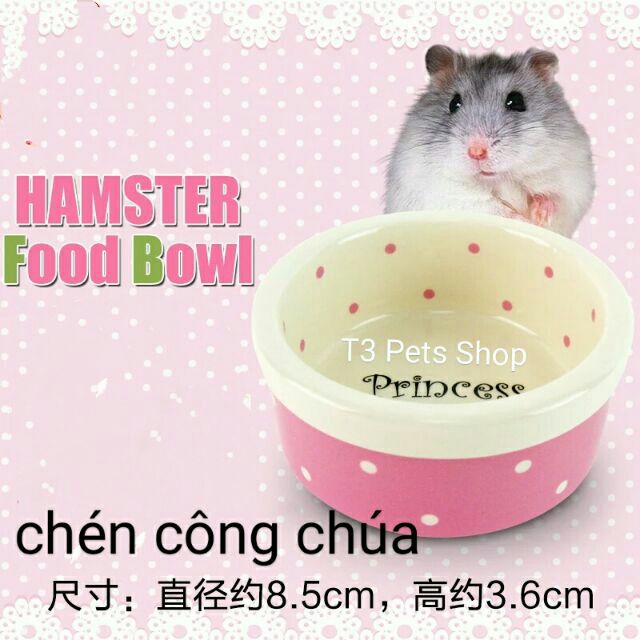 Chén sứ công chúa dành cho hamster, sóc, đuôi mập...