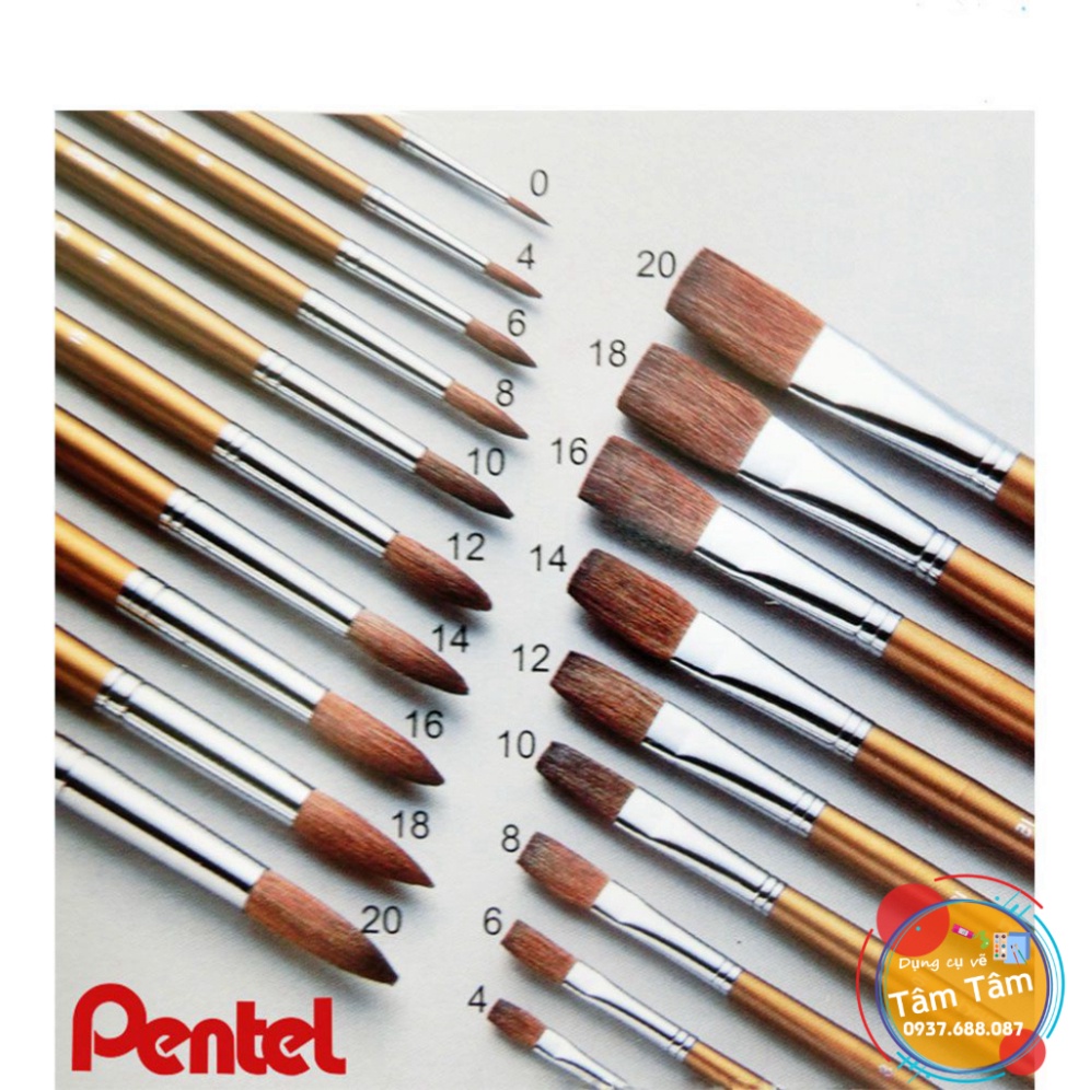 [ TÂM TÂM ]-Cọ vẽ Màu Nước Pentel ZBS1 | Đầu Cọ Mềm Mượt | Nhiều Kích Cỡ Khác Nhau