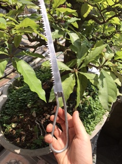 Cưa gỗ cán sắt cầm tay dài 35cm