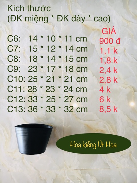 Combo chậu và hạt giống