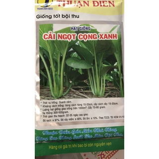 100g hạt giống cải ngọt