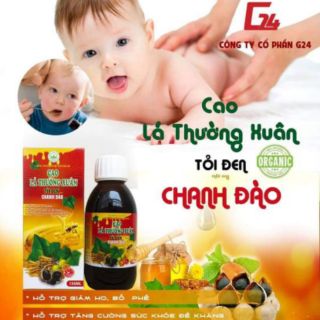 Cao lá thường xuân tỏi đen chanh đào