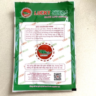 hạt giống bí đỏ siêu ngọn 20gr