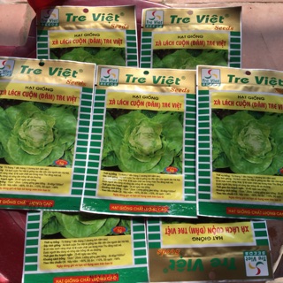 5g HẠT GIỐNG CUỘN(ĐĂM) TRE VIỆT - TRE VIỆT SEEDS