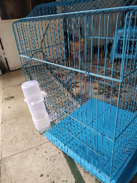 Ống nước tự động cho chim uống