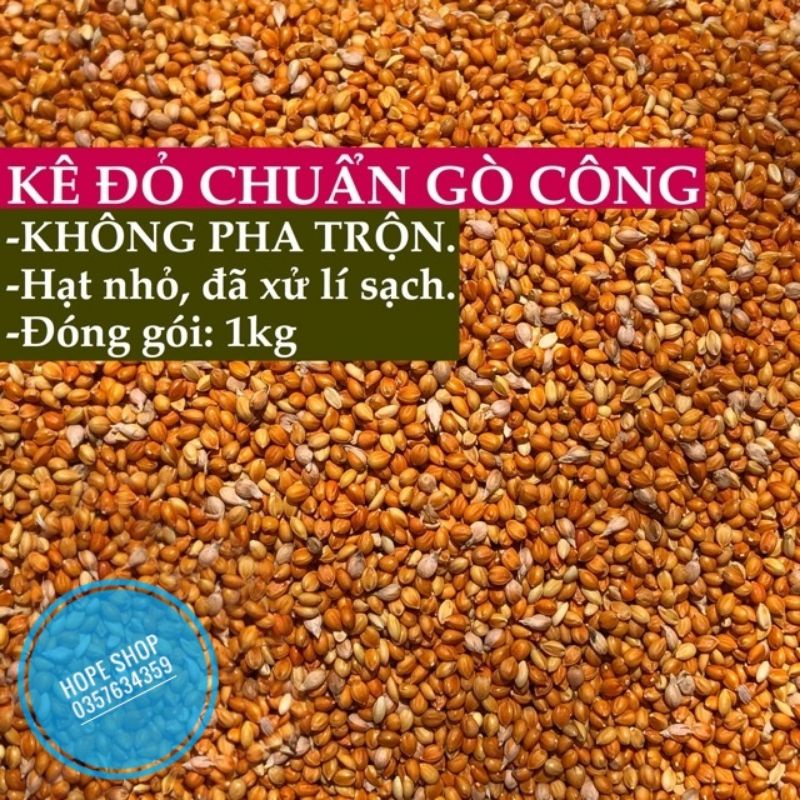 Hạt kê đỏ Gò Công 1kg/ Kê đỏ hạt nhỏ
