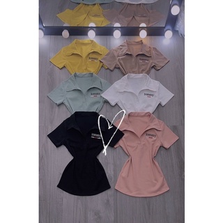 [FREESHIP- KHO SỈ RẺ ] Áo cổ bẻ dior 💥 áo cổ trụ chất borip