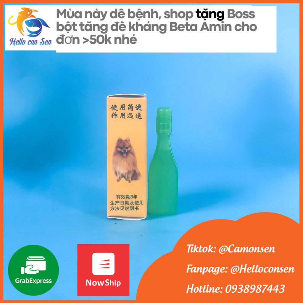 Set Vòng cổ chống ve vận chó mèo Nhỏ gáy chống ve rận, bọ chét Trung Quốc cho chó, mèo