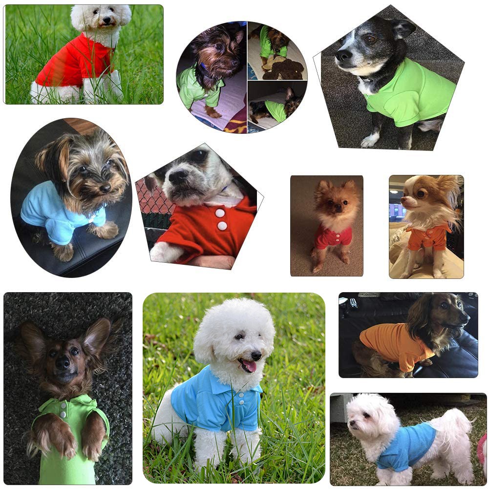 Pet Solid Color POLO Shirt cho chó T-shirt thoáng khí Quần áo cho thú cưng thoải mái
