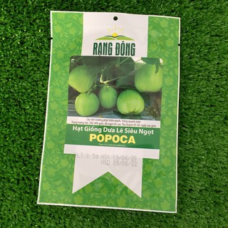 HẠT GIỐNG DƯA LÊ SAI TRÁI SIÊU NGỌT