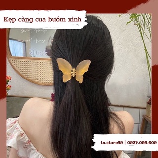 Kẹp càng cua 🦋 cực xinh