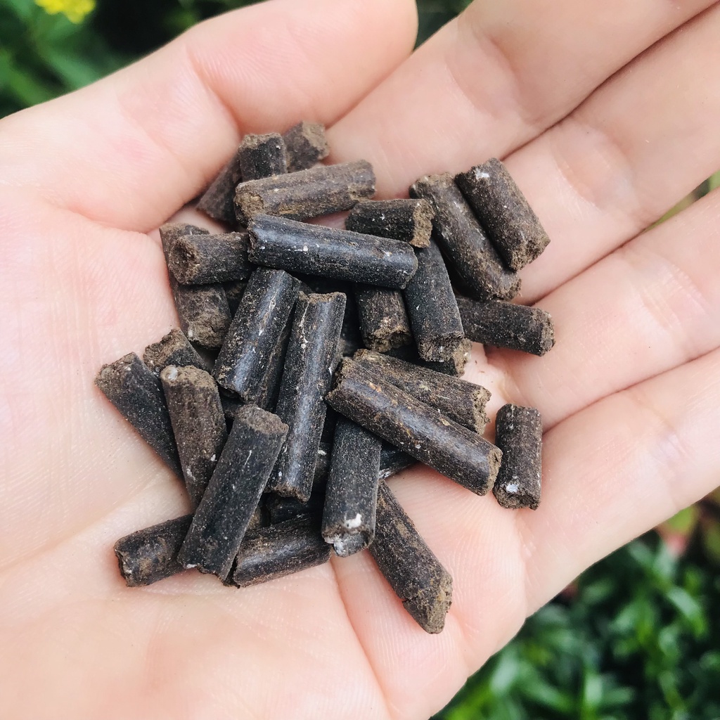 PHÂN HỮU CƠ CHO CÂY MAI VÀNG TÚI 1KG