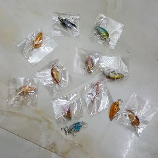 Mồi câu cá chu vi