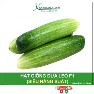 Hạt Giống Dưa Leo Siêu Năng Suất Phú Nông Gói 1 Gram