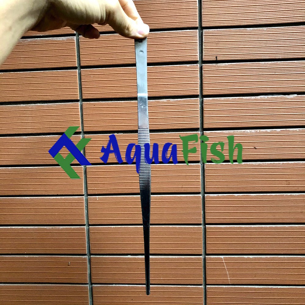 Kẹp Nhím Trồng Cây Thủy Sinh