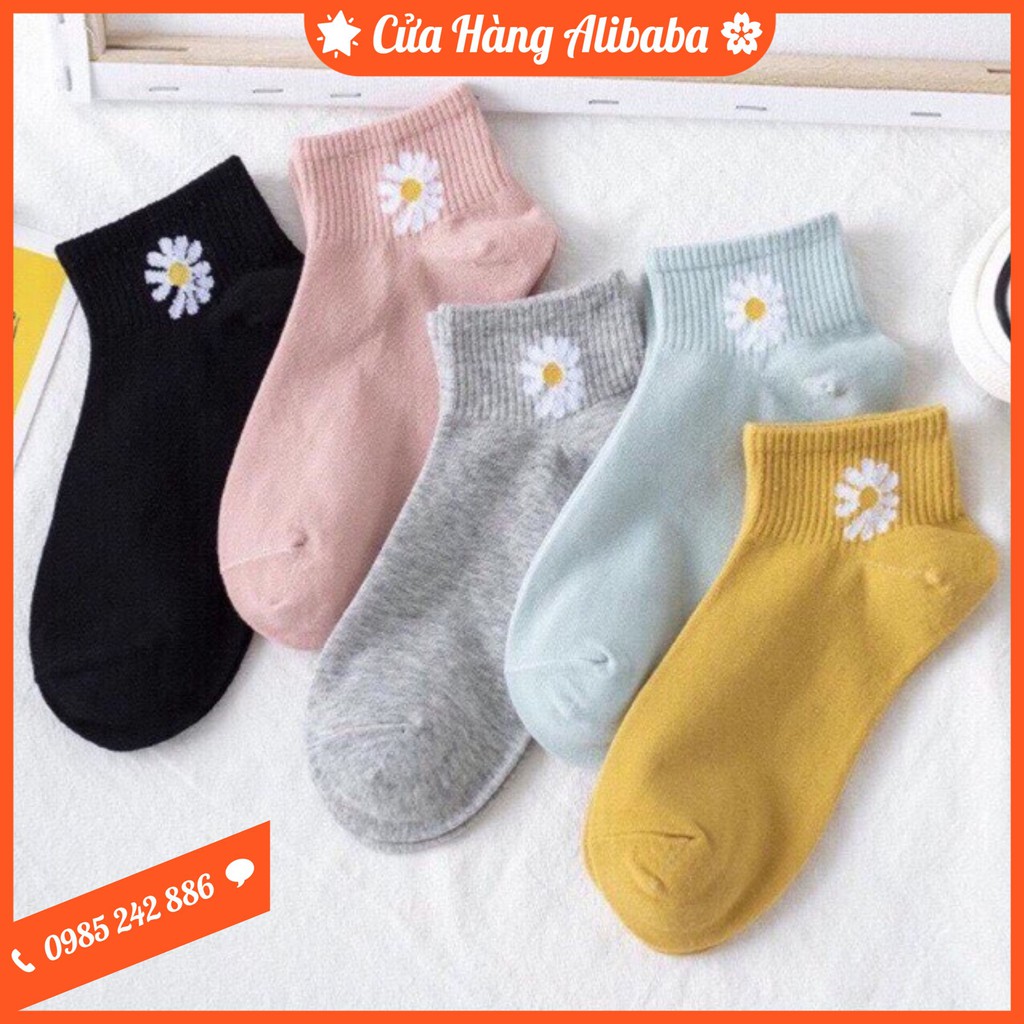 SET 10 ĐÔI TẤT HOA CÚC HOT HIT 2020 #197