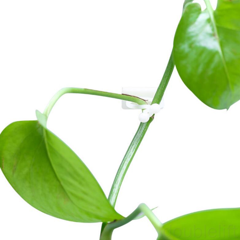 Set 10 Móc Treo Dây Leo Gắn Tường Tiện Lợi