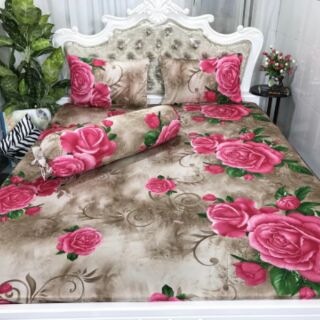 Combo sỉ 3 bộ grap thun hàn