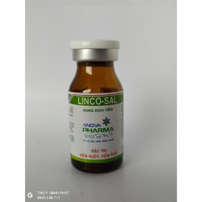 LINCO-SAL CHAI 10ML (lincosal 10ml)