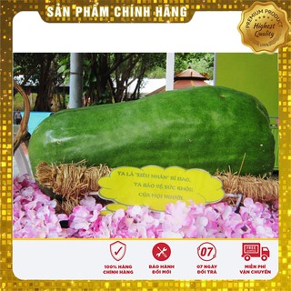 HẠT GIỐNG BÍ ĐAO KHỔNG LỒ (1 gr)