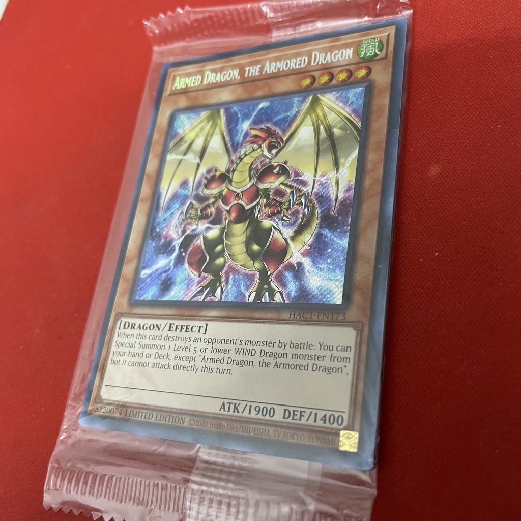 Armed Dragon The Armored Dragon