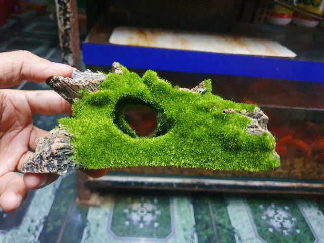 CÂY LỦA GIẢ PHỦ RÊU TRANG TRÍ HỒ CÁ NON BỘ 14X5X6CM