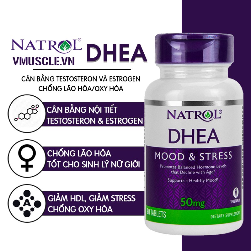 Natrol DHEA hỗ trợ cân bằng nội tiết, giảm stress và chống oxy hóa