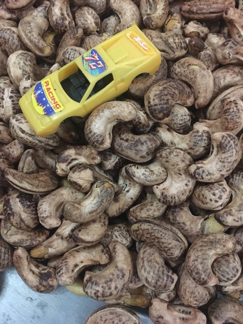 2kg điều nguyên hạt size cồ to ngon | BigBuy360 - bigbuy360.vn