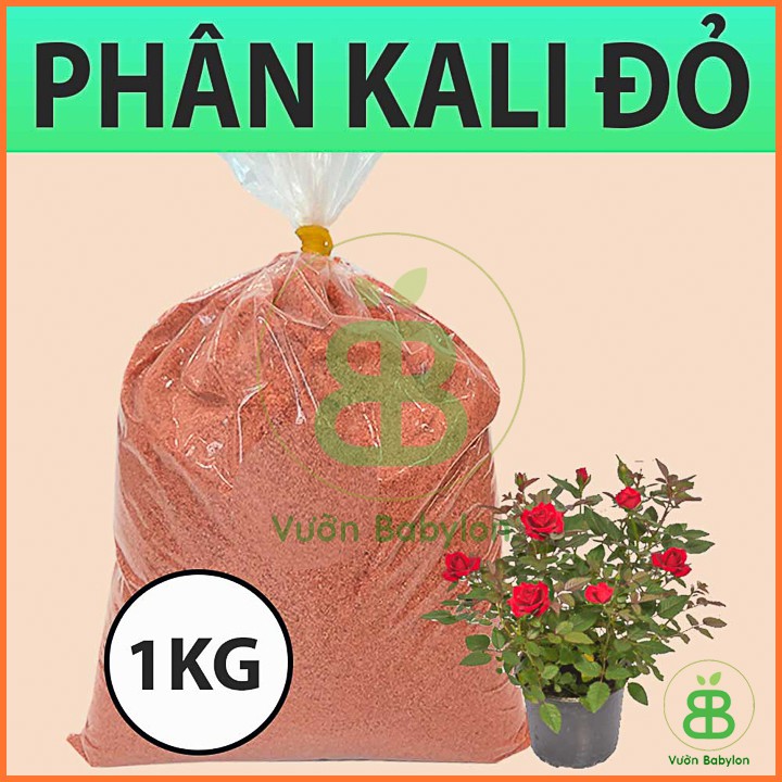 Phân Bón Siêu KaLi 1Kg