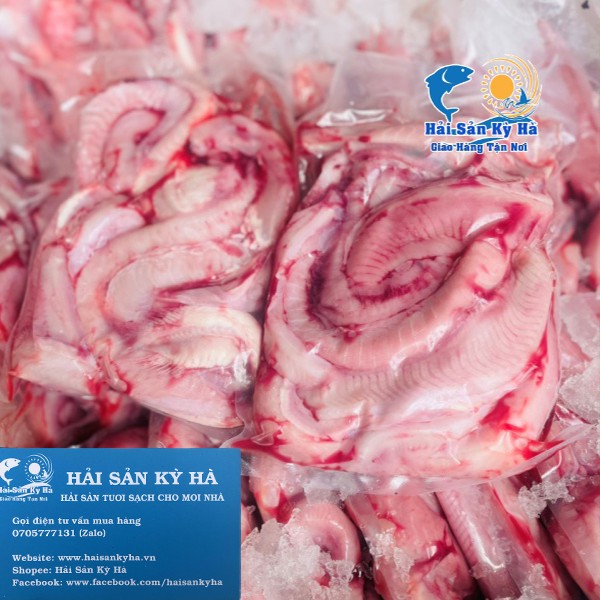 Giá Sỉ 1Kg Cá Ninja - Q12