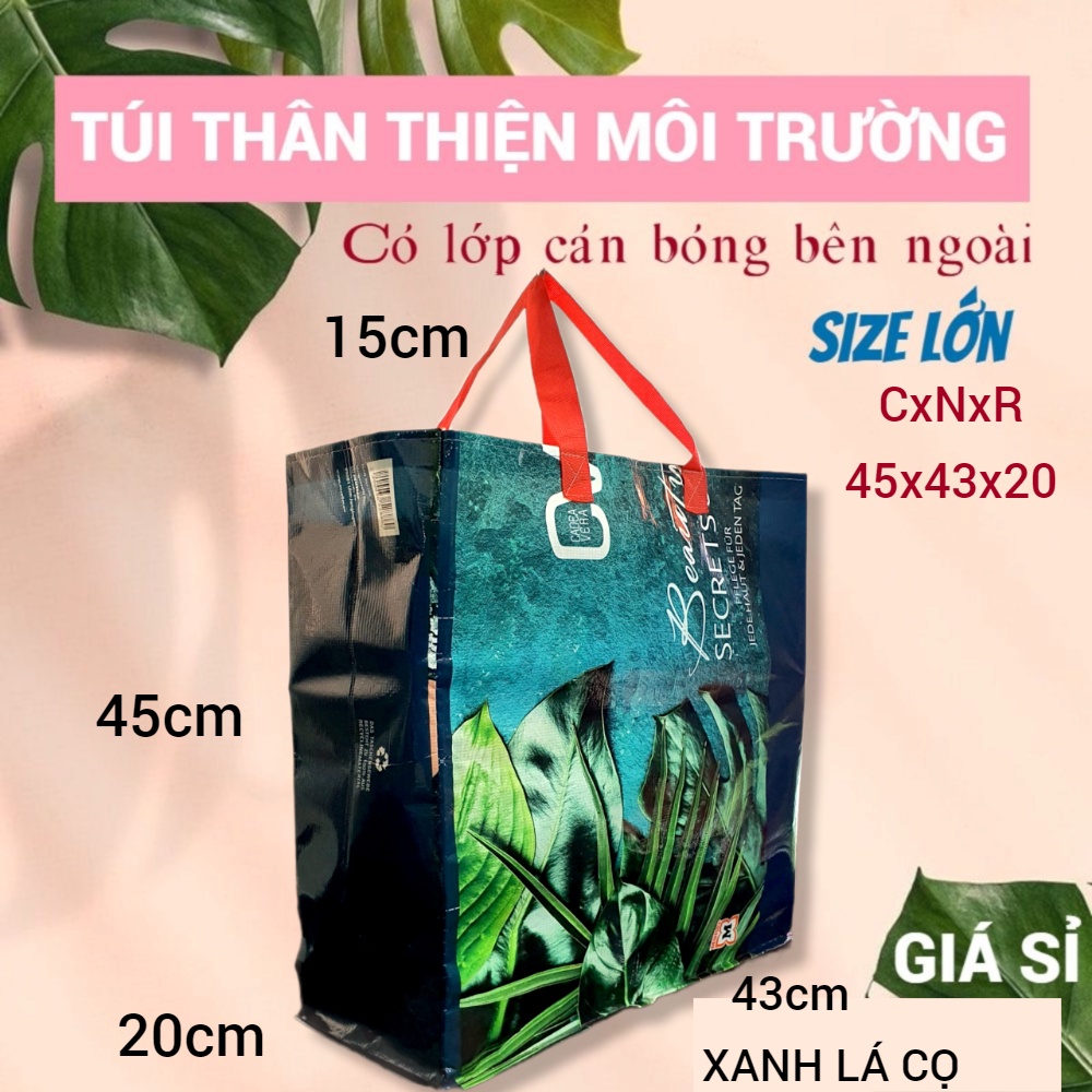 CÁN BÓNG - TÚI SIÊU THỊ, THÂN THIỆN MÔI TRƯỜNG, ECO SHOPPING BAG, ĐI CHỢ, ĐỰNG ĐỒ NẶNG, SIZE LỚN, HAI QUAI XÁCH