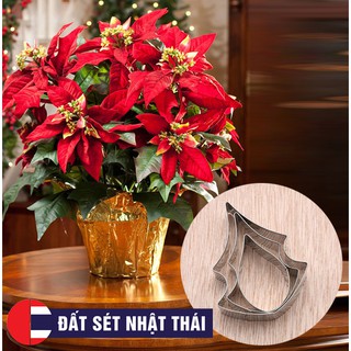KHUÔN CẮT HOA TRẠNG NGUYÊN - HỌC LÀM HOA ĐẤT SÉT BẤT TỬ , HOA ĐƯỜNG, XÔI HOA ĐẬU