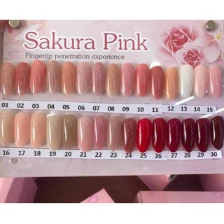 Sơn thạch Bobo set 30 màu hàng chính hãng