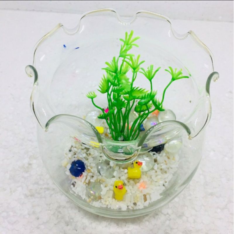 hồ cá - bể cá mini, bể cá tai bèo, hồ cá tai bèo, hồ tròn, chậu cá mini