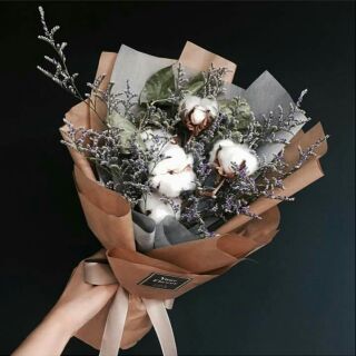 Hoa bông gòn siêu đẹp