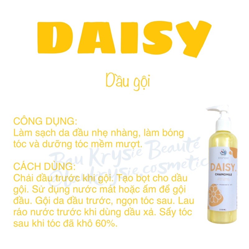 Dầu Gội Daisy - Chiết Xuất Cúc La Mã