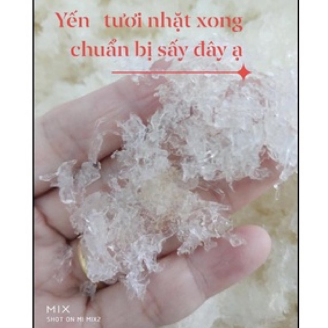 Combo 10 Túi Yến Vụn +🎁 | Thế Giới Skin Care