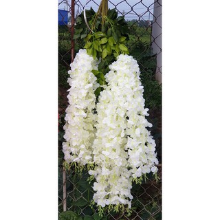 Hoa Tử Đằng, Cây Giả, Cành Làm Cây
