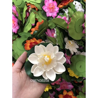 Hoa thả bát sen