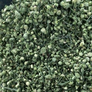 Nụ Tam thất Sapa loại xịn thơm ngon bổ dưỡng 100g - 500g - Kg