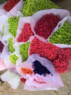 Hoa sao nhuộm màu