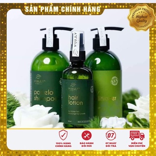 Combo bộ 3 sản phẩm Dầu Gội Bưởi Kem Xả Bưởi và Tinh dầu bưởi ViJully Cao Cấp