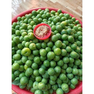 Mận cơm sơn la ngon giòn không chát- mận tươi tại vườn hottrend