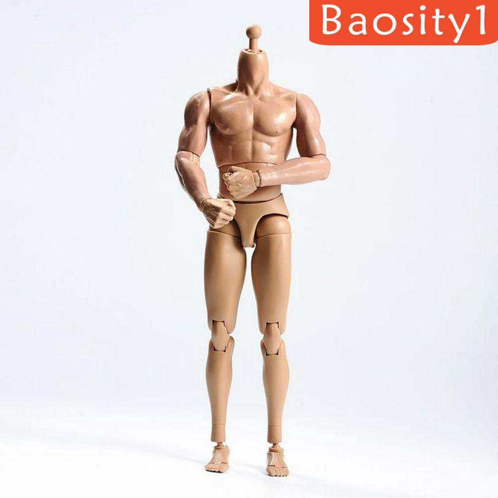 Mô hình cơ thể người nam tỉ lệ 1/ 6