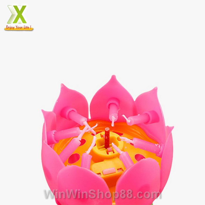 Nến sinh nhật nở hoa và phát nhạc - Winz.vn