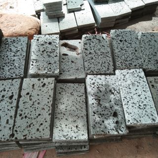Giá thể nham thạch cho bucep- nana