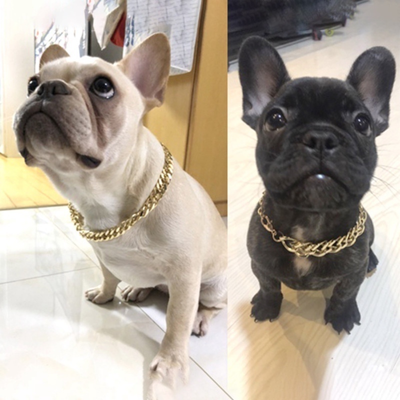 Dây chuyển màu vàng đeo cổ cho cún cưng cỡ nhỏ và vừa