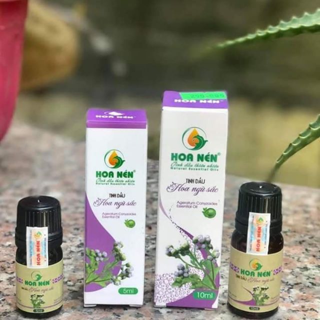 Tinh dầu hoa ngũ sắc 5ml