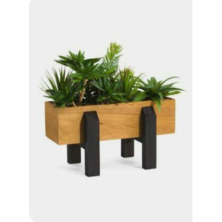 Chậu gỗ trồng cây sang trọng I Decor tiểu cảnh